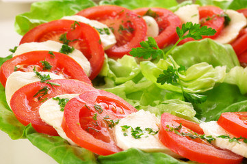 salad - mozzarella and vegetables