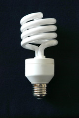 bulb
