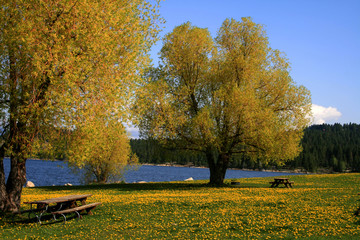 down by the lake 3