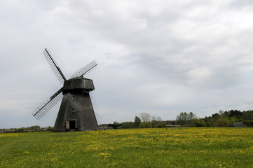 Plakat old mill at dandelion field