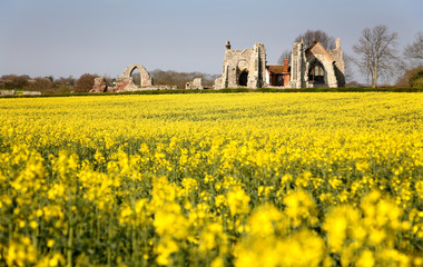 leiston abbey suffolk