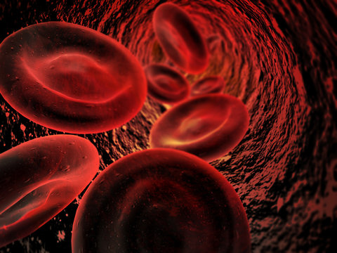 blood cells flowing through an artery