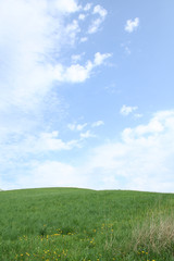 Fototapeta premium blue skies