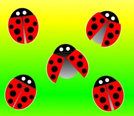 ladybird pattern