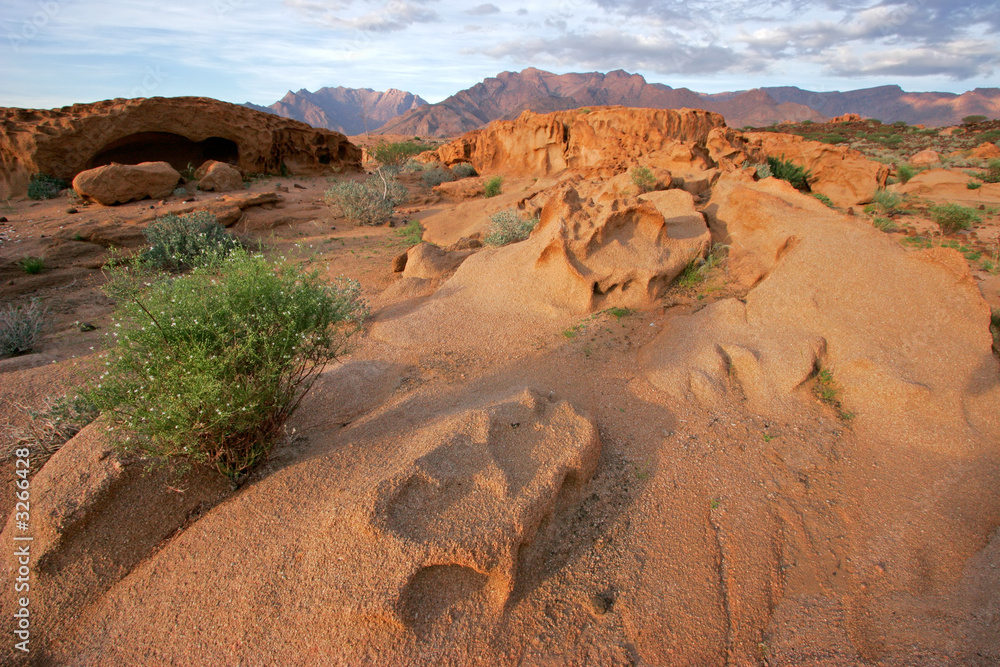 Canvas Prints desert landscape