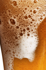 glass of beer with foam