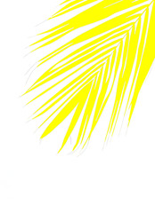 palme jaune