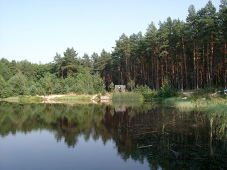 Fototapeta na wymiar pond in a wood