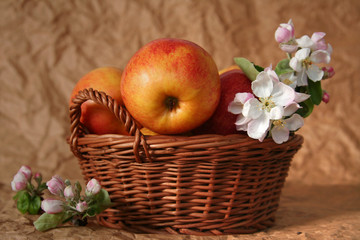 apples and flowers