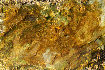 close up of a colorful rock pool.