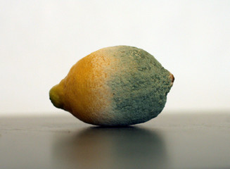 citron pourri