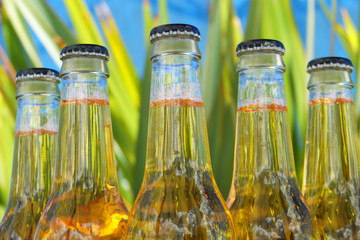 bottles of beer