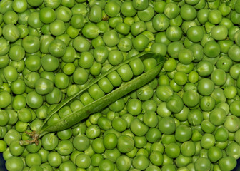 piselli