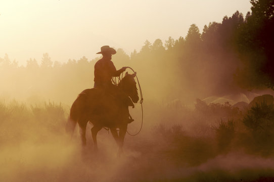Fototapeta Sylwetka kowboj jeździecki koń przy zmierzchem