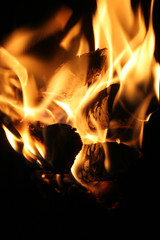 Fototapeta premium züngelnde flammen