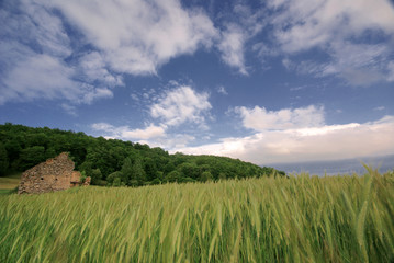 Fototapeta premium la campagne