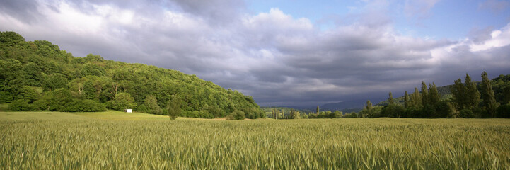 colline au soleil