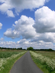friesische landschaft