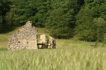 ruine de pierres au milieu du blé