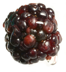 blackberry
