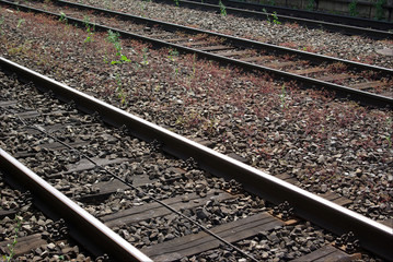 Fototapeta premium schienen