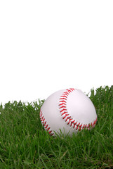 new baseball in grass