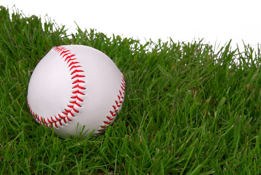 new baseball in grass