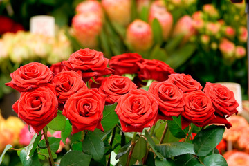 bunch of red roses