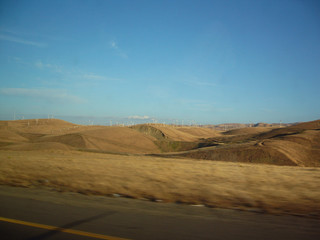 Fototapeta na wymiar champs d'éolienne en californie