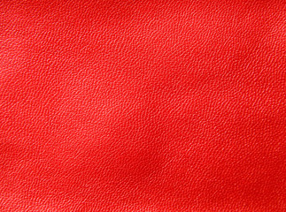 Fototapeta premium red leather