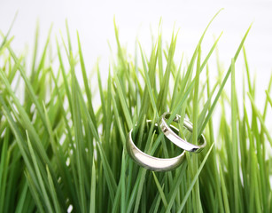 wedding bands in green grass