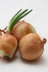 Fresh onion bulbs on white