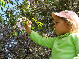 little girl in a garden