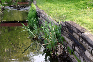 Fototapeta na wymiar trawa rosnąca na potoku