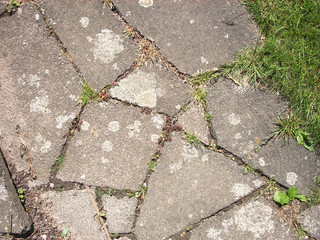 Obraz premium pavement