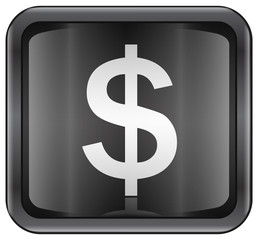 button dollar icon. (with clipping path)