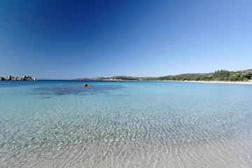 palombaggia porto-vecchio