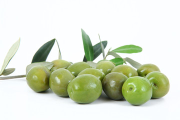 olive 16