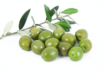 olive 17
