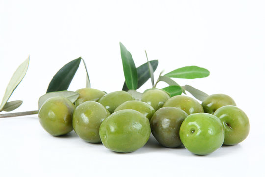 olive 16
