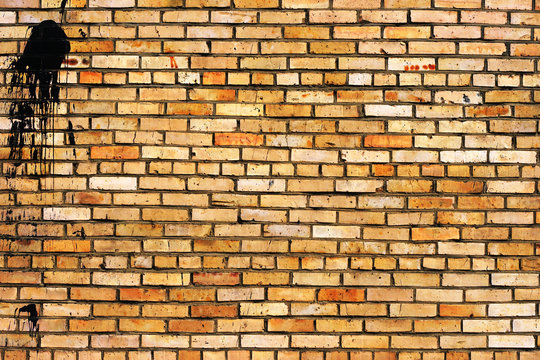 grunge brick wall texture © pvl