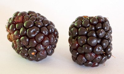 two blackberries