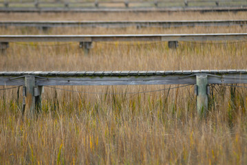 docks in the marsh