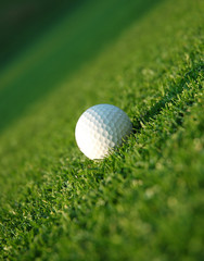 golf ball in the fairway