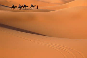 Fototapeta na wymiar karawana na Saharze