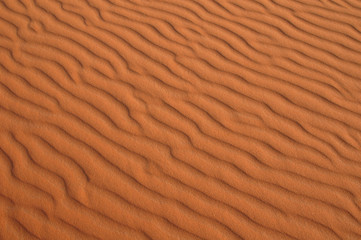 sahara desert