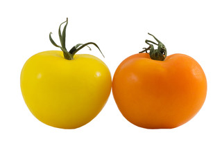 orange and yellow tomatos