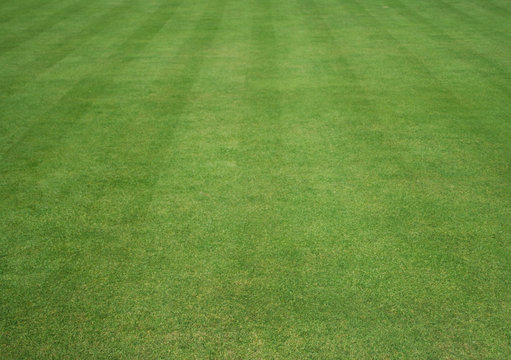 grass cut with stripes