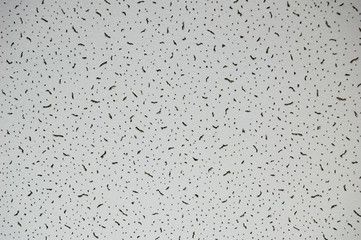 abstract dirt grey background