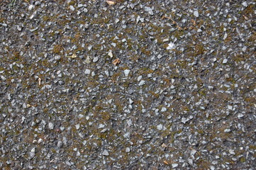 concrete texture 1